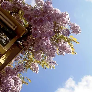 chambre-dhotes-de-le-halle.hotels-rhonealpes.com/